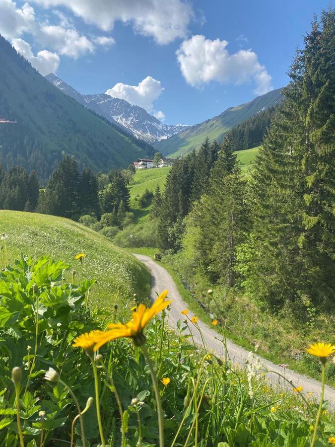 Alpin Haus Appartement Berwang